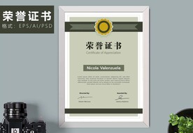 荣誉证书时尚竖版证书