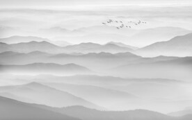 新中式電視背景墻