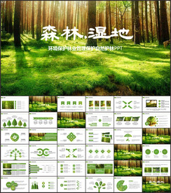 濕地環(huán)境保護(hù)生態(tài)森林業(yè)PPT