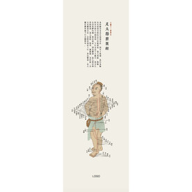 12筋絡(luò)圖譜-足太陽膀胱經(jīng)