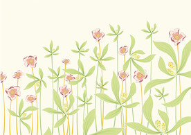 矢量裝飾花卉圖案