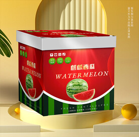 小西瓜禮盒 