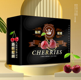 黑色車?yán)遄影b