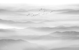 新中式山水画