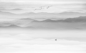 灰色大氣水墨山水畫