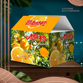 橙子包裝 