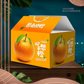 贛南臍橙包裝 