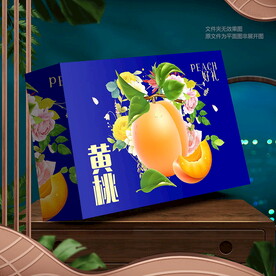 黃桃包裝 禮盒