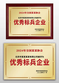 金屬感優(yōu)秀標(biāo)兵企業(yè)榮譽(yù)獎牌銅牌