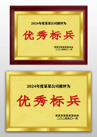 金色磨砂優(yōu)秀標(biāo)兵榮譽(yù)獎(jiǎng)牌銅牌