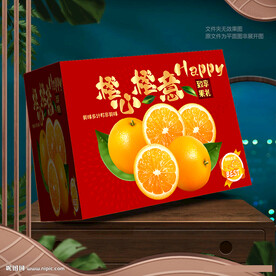 橙心橙意包裝