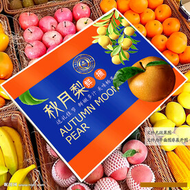 秋月梨禮盒 梨包裝 
