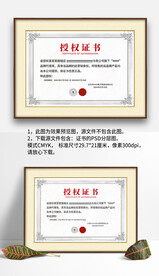 灰白底紋復(fù)古網(wǎng)絡(luò)網(wǎng)店授權(quán)證書