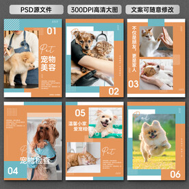 宠物展板