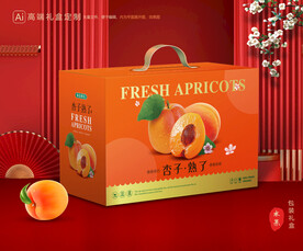 杏包裝 黃杏禮盒
