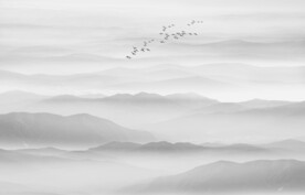 山水水墨畫風(fēng)景圖