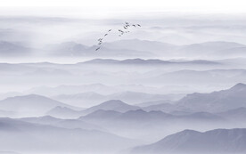 公司前臺(tái)山水畫(huà)背景墻