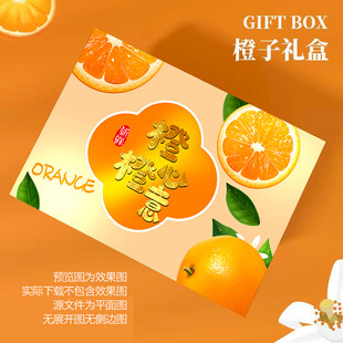 紅美人包裝 橙子禮盒