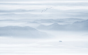 禪意水墨山水畫背景墻