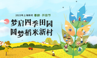 稻米文化節(jié)主畫面展板海報(bào)