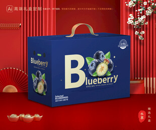 蓝莓包装 水果礼盒