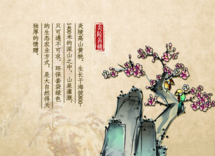 黃桃貼紙 宣傳