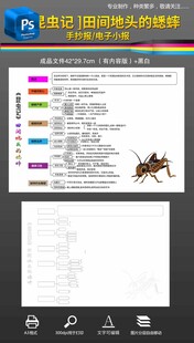 昆蟲記思維導(dǎo)圖田間地頭的蟋蟀