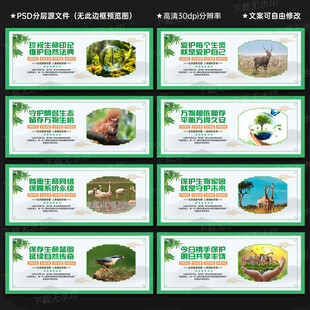生物多样性保护宣传展板