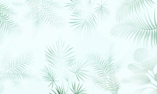 热带雨林绿植雾气模糊背景