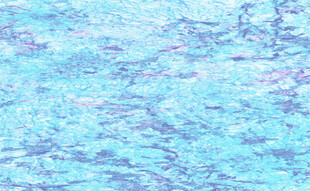 大氣 輕奢豪華石紋 高清大圖 