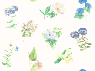 水彩花卉圖案設(shè)計(jì)素材