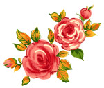 花卉水彩画