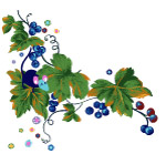 花卉水彩画
