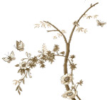 精美花卉素材