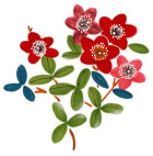花卉PSD素材
