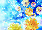 菊花背景素材