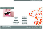 写真展板2