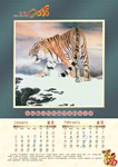 2010虎年历1 2