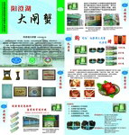 大闸蟹宣传册