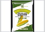 掖单12玉米包装（效果图）