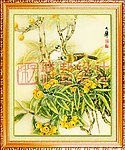 兰花香飘