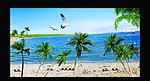 阳光海滩