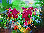 蝴蝶兰油画 油画 花的油画 花特写 花