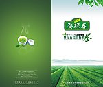 茶叶宣传册封面