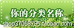 淘宝装修 商城热卖 促销区 分类 公告 店招 购物 欢迎动画