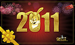 2011年兔年