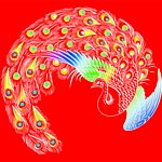 七彩孔雀