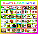 食物营养结构相克表