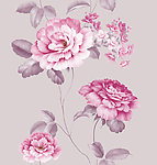 盛世花开