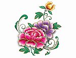 高清晰彩色花